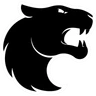 FURIA Esports