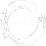 Project Zero
